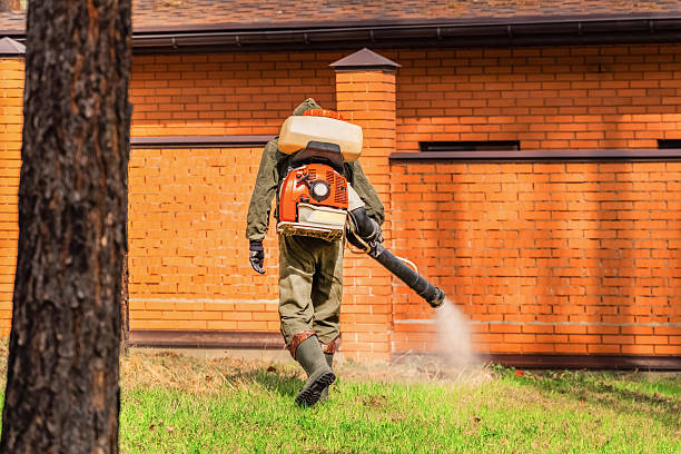 Trusted Emergency Pest Control service in Dupont, PA - Nex Pest Control